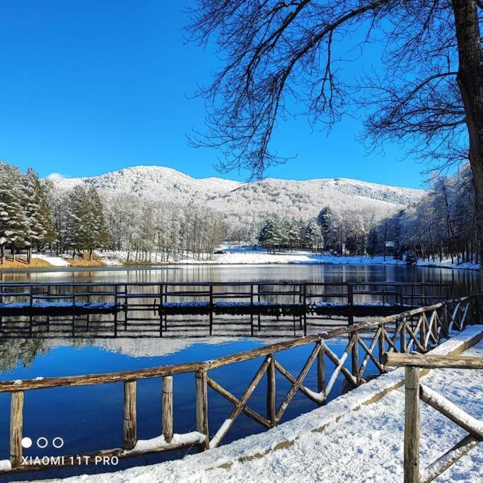 B&B Ammari. Appartamento - Bilocale. Gallico Luaran gambar